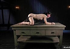 Bound slave's pierced nipples twisted and tormented in hardcore bondage