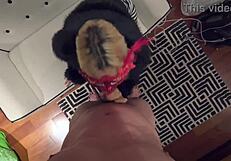 I crave elenaxxx's couch blowjob and bed pounding pov