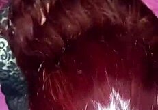 follo a mi vecina latina redhead after her grad party she begs for big cock in bedroom