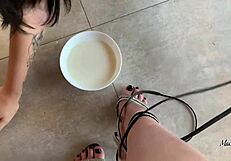 My pet kitten does everything I command licking pussy and milking for me