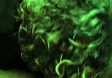 i love this granny's gummy smile while she sucks