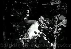 wanna see antique hairy beaver in retro classic action?