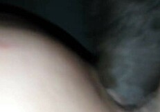 bbc monster assfucks before bed!