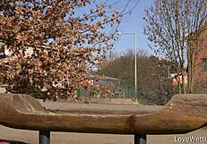 Chrissy Fox pisses outdoors in a public solo scene