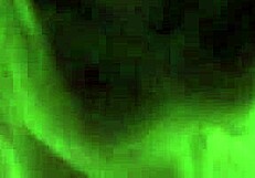 housewife ali allure bends for stepbro creampie her big pussy lips drip wet