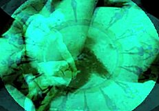 i cherish this steamy vintage erotic art so much