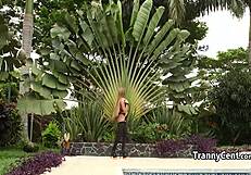 beautiful shemale feels gangbang pain turn to throbbing cock ecstasy overload