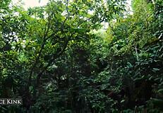 alice kink flashes her skinny body stripping micro bikini on public beach