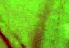 Delhi Girlfriend's Secret Sextape Reveals Hidden Bedroom Tease