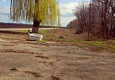 Stepbrother Stepsister Cum on Panties