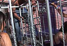 fat ebony babes take monster cocks in wild threesome.