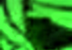 amber craves every gaze in her full 4k exposure