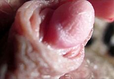 Clit
