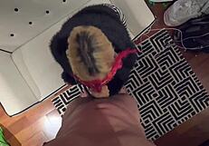 elenaxxx gives couch blowjob then bed missionary pov and third person view