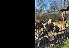 Quiet Office Girl Turns Wild Party Slut with Big Tits and Huge Ass