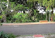 Colombian Latina's Huge Fake Tits Bounce During Hardcore Face Fucking and Cumshot