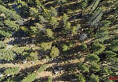 xxl slut layna bent over ass licked rimmed face fucked doggystyle creampied outdoors pov