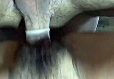 Wife's Deep Passion with Bull Ignites