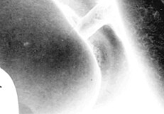 Vintage Erotic Art Displayed Boldly