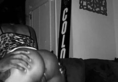 Amateur couple's juicy pussy rides big cock to creamy creampie orgasm in lingerie