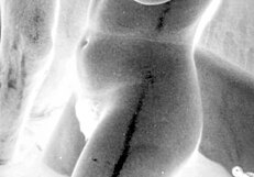 Vintage Erotic Art Displayed Boldly