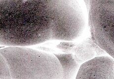 Vintage Erotic Art Displayed Boldly