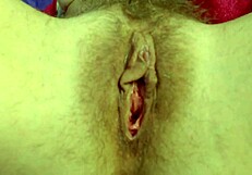 shaved pussies squirt close-up in this wet webcam compilation
