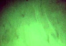 Brazilian Big Ass Wife Bent Over Public Beach Taking Monster Cock Doggystyle From Hubby?