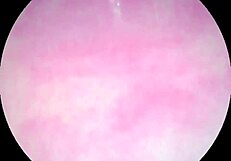 I slide the camera deep inside my creamy pussy watching it pulse till orgasm