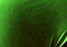 Monster cock slaps fat teen's arse before deep assfucking