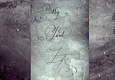 digging into that classic vintage erotica vibe from way back