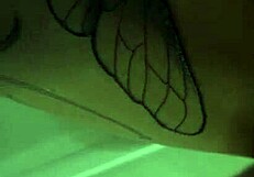 Gamer Girlfriend Squirts Wild from Anal Free Use Facial!