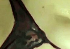 did i free my tight asshole for that internet stranger's pix gift?