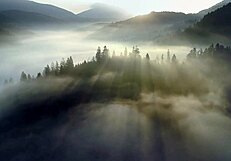 hey campire fantasy baremaiden what if i cum on your small tits outdoors