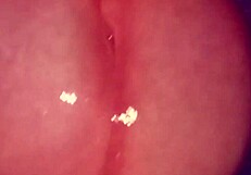 guy strokes drooling cock glans fantasizing about you solo softcore