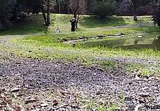 Strolling With Stepmom She FLASHES Huge Tits And Teases Publicly