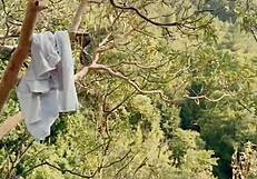 Petite babe craves huge cumshot facial on forest walk pov