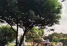 street exhibitionist signals for instant public sex