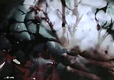 Dark Lantern Presents Vintage British Lesbian Picture Stories