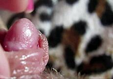 closeup tongue on big throbbing clit leads to explosive orgasm
