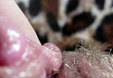 closeup tongue on big throbbing clit leads to explosive orgasm