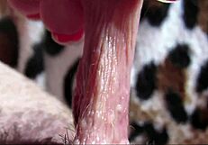 closeup tongue on big throbbing clit leads to explosive orgasm