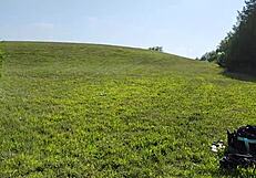 oh wow my blonde milf braylee gettin naughty w cub in nature