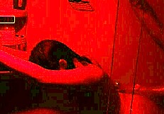 i'm fuckin this curvy latina wife bareback in shower bbc interracial rough homemade