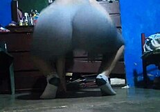 very sexy brunette's huge ass flashes curves during sweaty workout