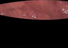 god i crave giantess alexstrasza's huge tall belly vore swallow so bad