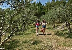 What starts as a vacation idyll becomes rebecca volpetti and veronica leal strap-on sharing frenzy