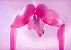 i watch this 3d anime girl masturbate over and over