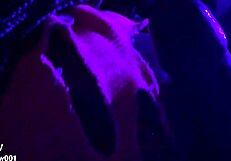 mmm sucking big black oiled cock like a ripe banana