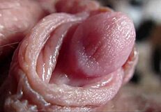her huge clit swells and throbs visibly in this orgasm closeup view so intimate